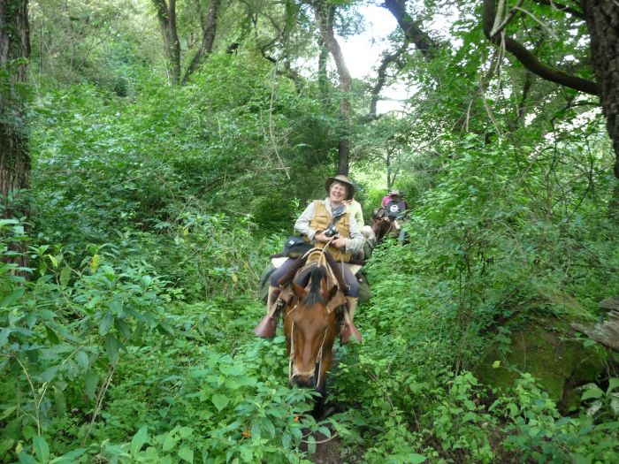 Inca Trail and Cattle Drive near Salta