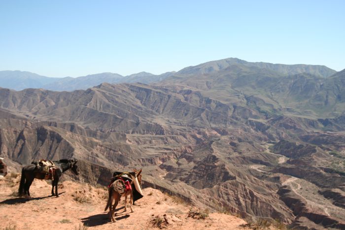 Inca Trail and Cattle Drive near Salta