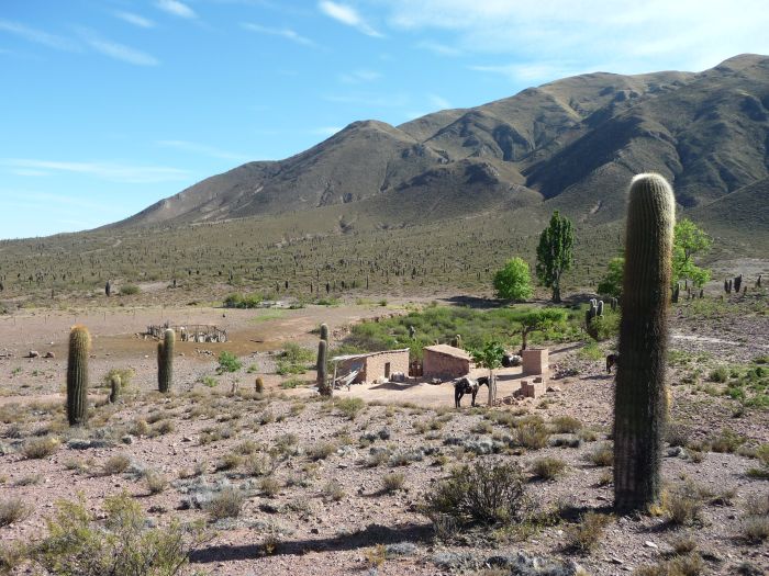 Inca Trail and Cattle Drive near Salta