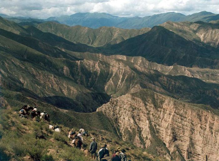 Inca Trail and Cattle Drive near Salta
