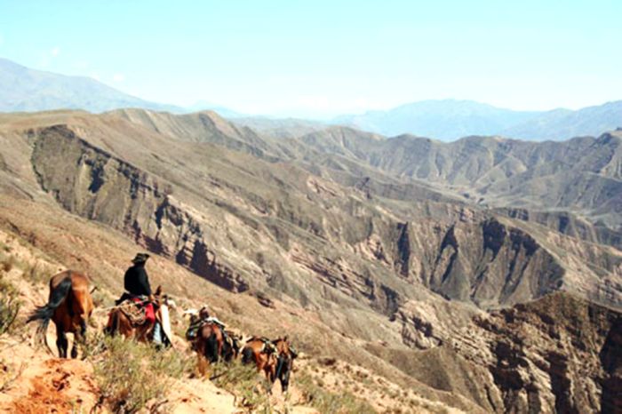 Inca Trail and Cattle Drive near Salta