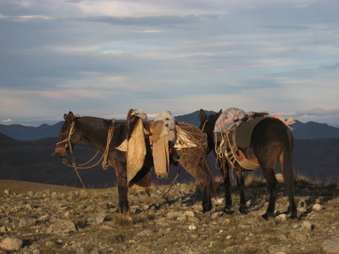 Inca Trail and Cattle Drive near Salta