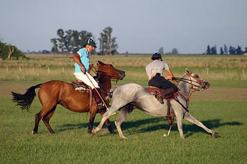 Esquina Gaucho Week