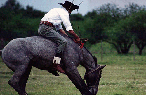 Esquina Gaucho Week