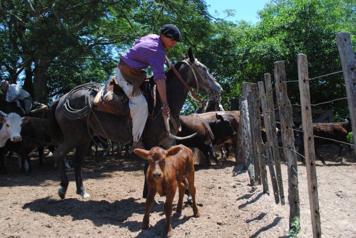 Esquina Gaucho Week