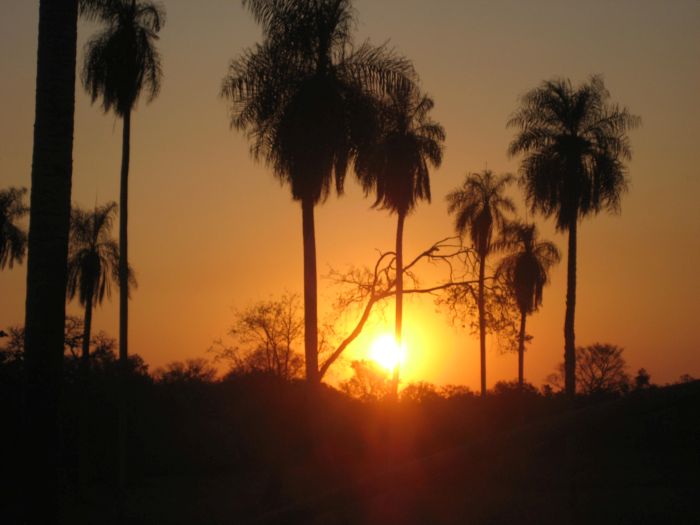 Pantanal Ride