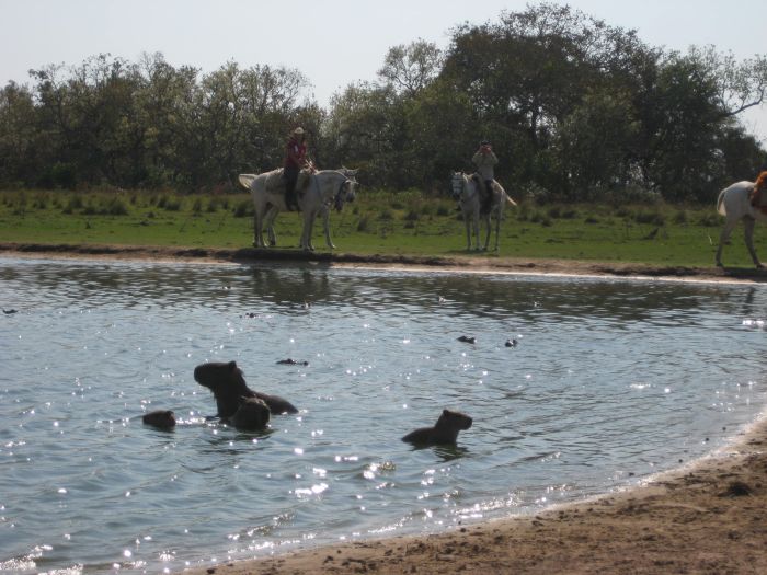 Pantanal Ride