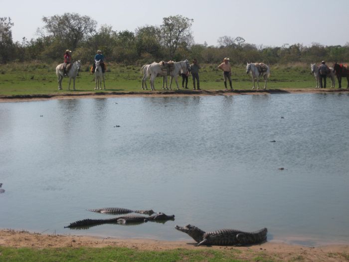 Pantanal Ride