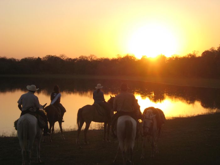 Pantanal Ride