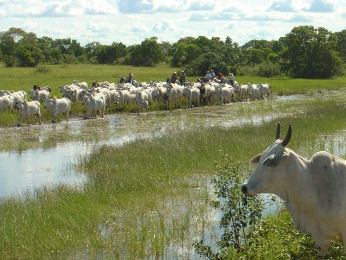 Pantanal Ride
