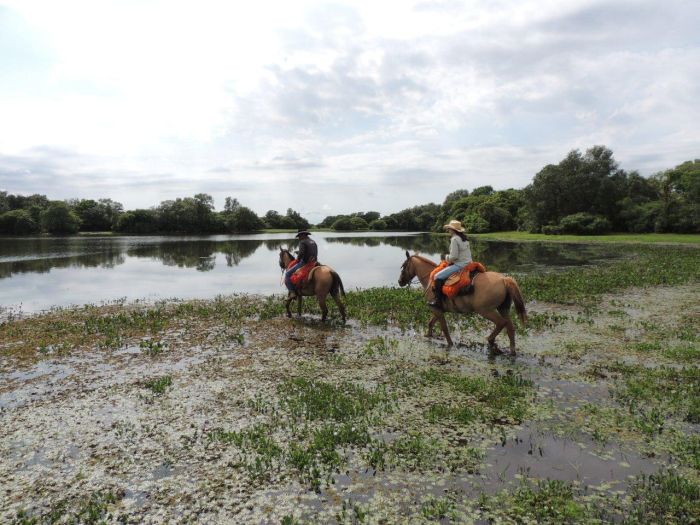 Pantanal Ride