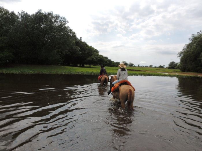 Pantanal Ride