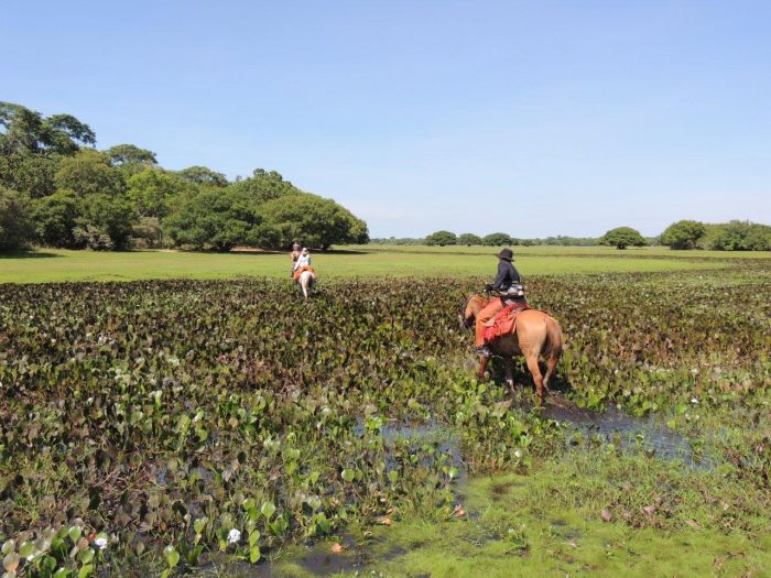 Pantanal Ride