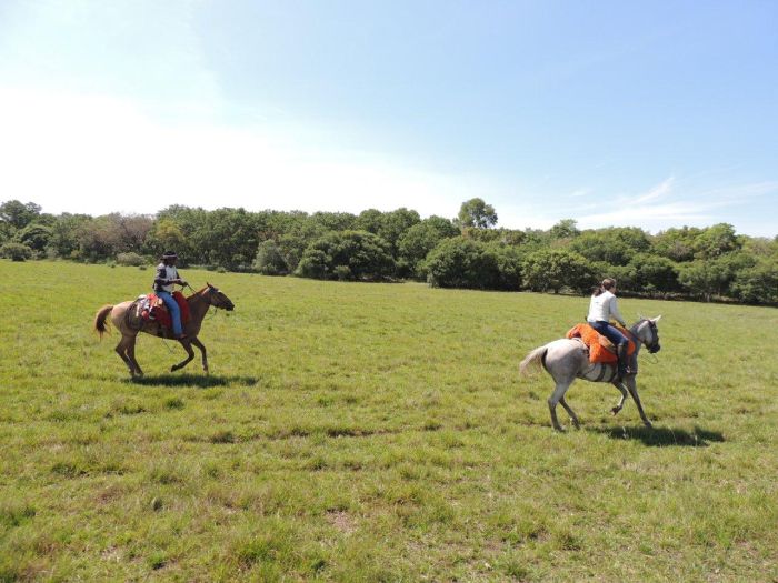 Pantanal Ride