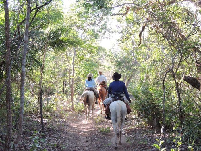 Pantanal Ride