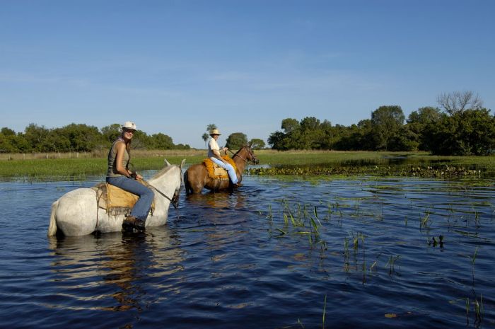 Pantanal Ride