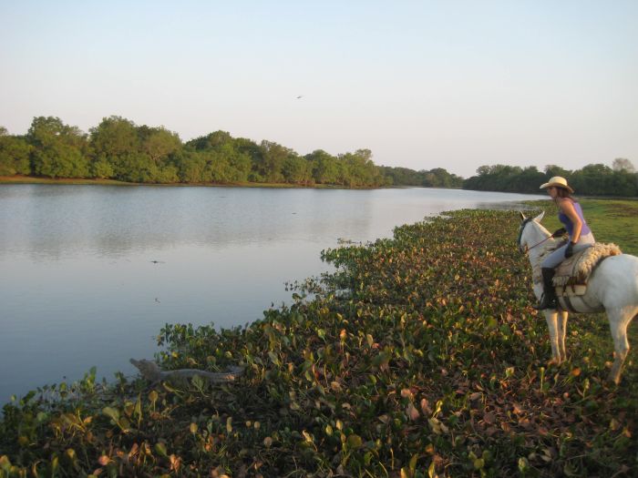 Pantanal Ride