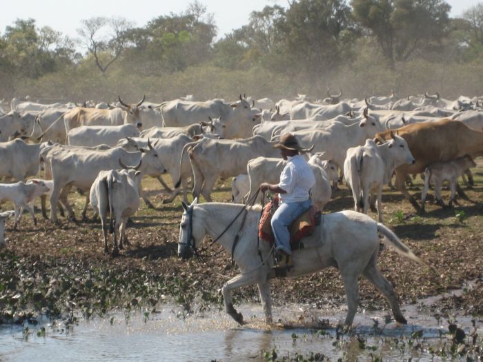 Pantanal Ride