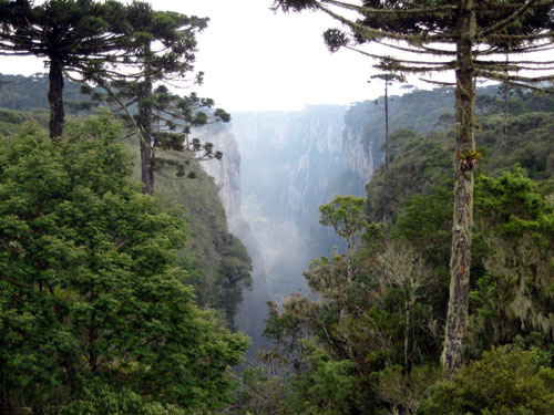 Canyons and Waterfalls