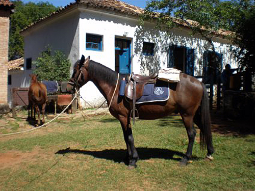 Coffee Fazendas Ride