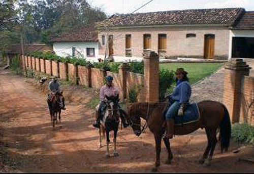 Coffee Fazendas Ride