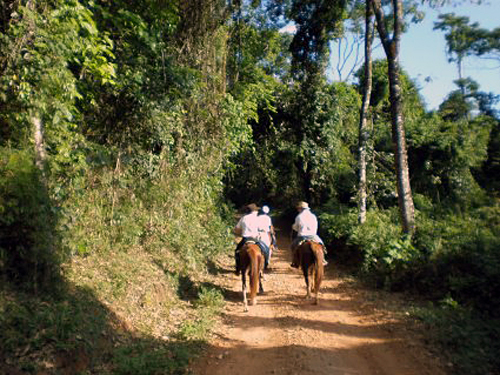 Coffee Fazendas Ride