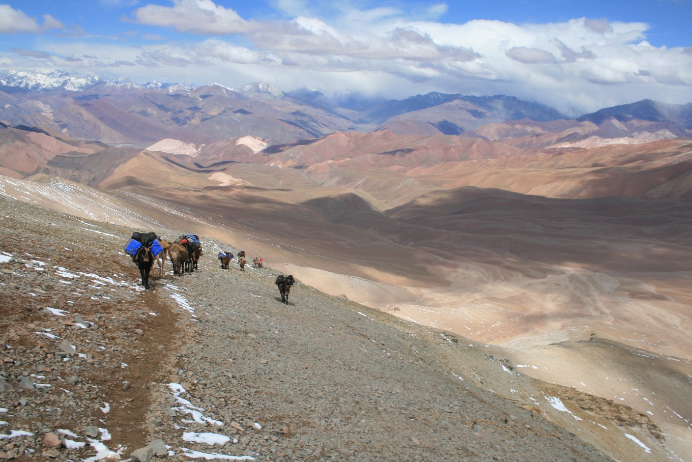 Independence ride across the Andes