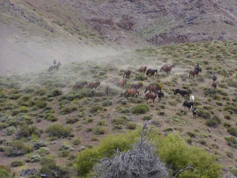 Independence ride across the Andes