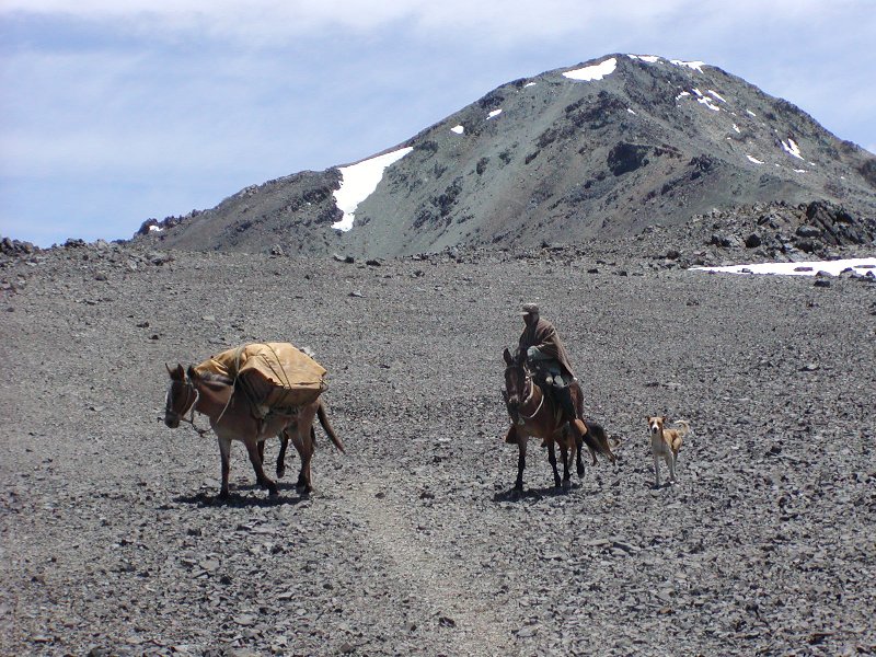 Independence ride across the Andes