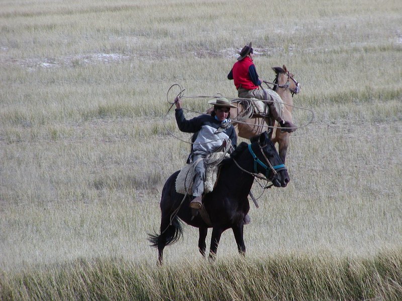Independence ride across the Andes