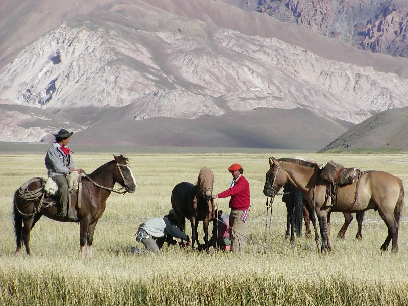Independence ride across the Andes