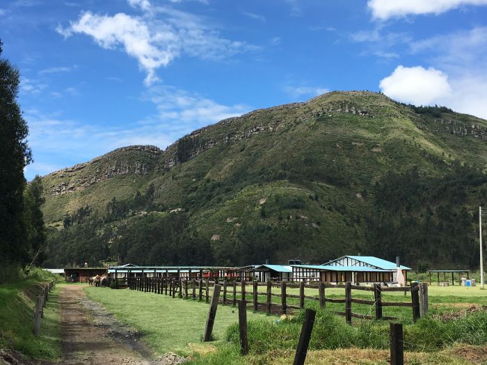Colombian Hacienda Trail