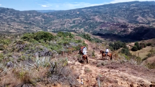 Colombian Hacienda Trail