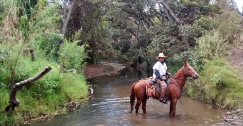 Colombian Hacienda Trail