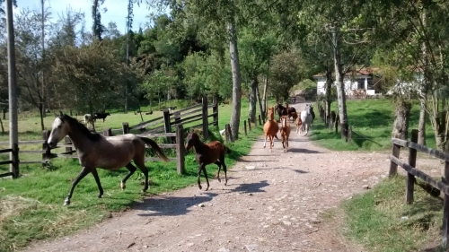 Colombian Hacienda Trail