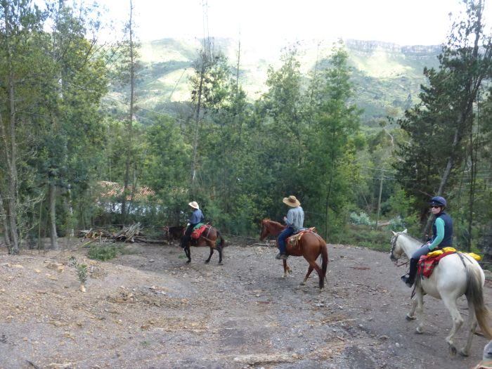 Colombian Hacienda Trail