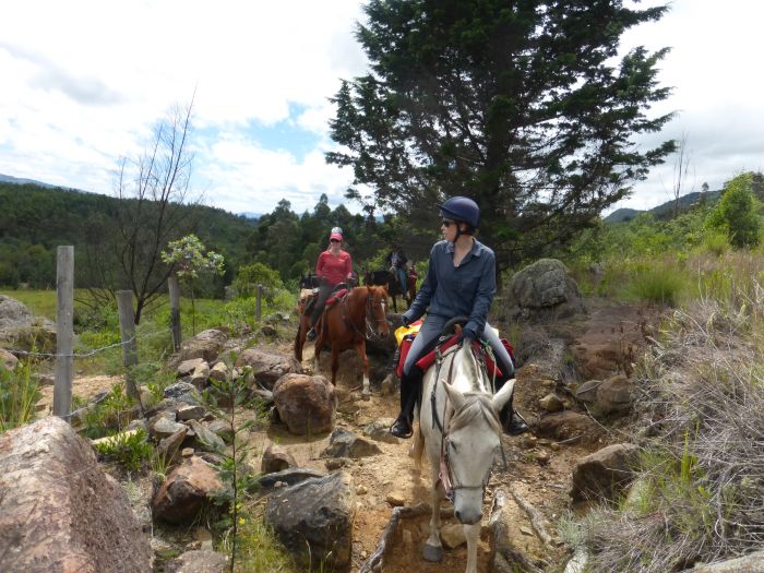 Colombian Hacienda Trail