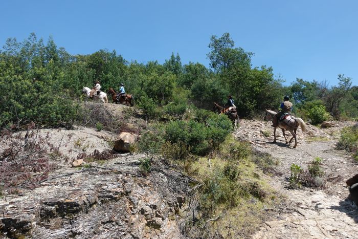 Colombian Hacienda Trail