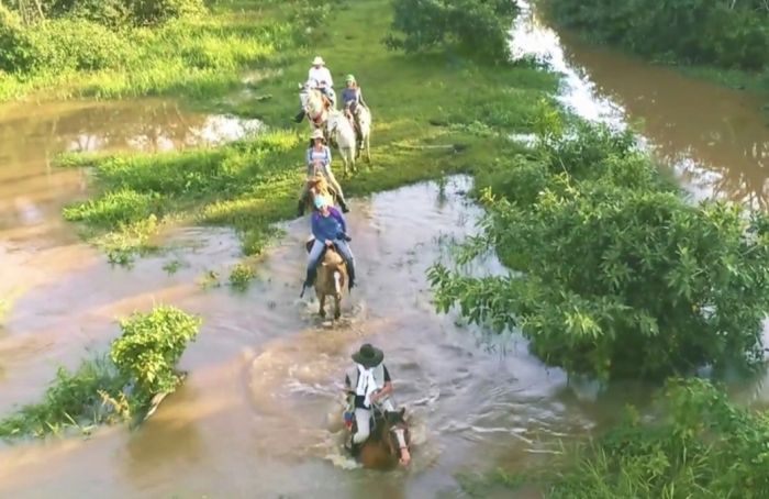 Orinoco Riding safari