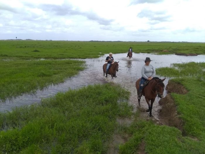 Orinoco Riding safari