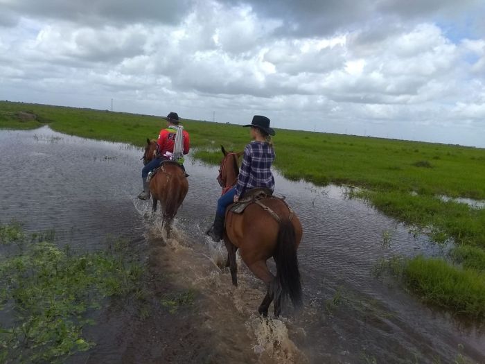 Orinoco Riding safari