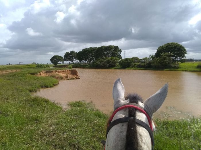 Orinoco Riding safari