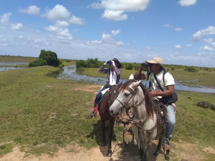 Orinoco Riding safari