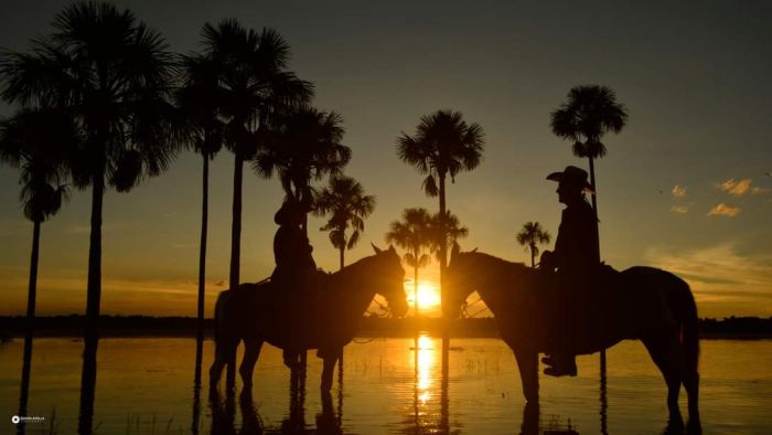 Orinoco Riding safari