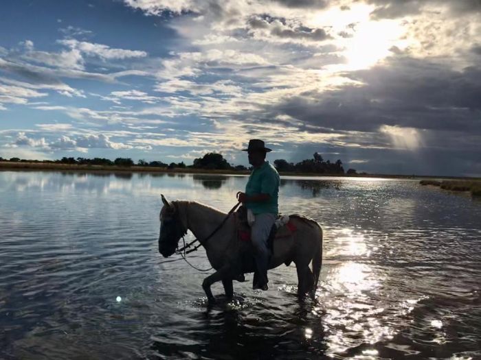 Orinoco Riding safari