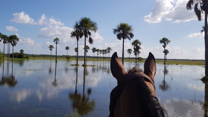 Orinoco Riding safari