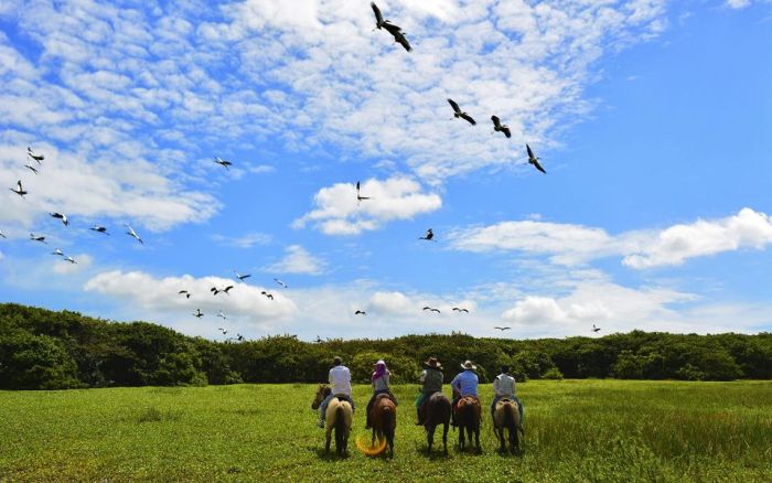 Orinoco Riding safari