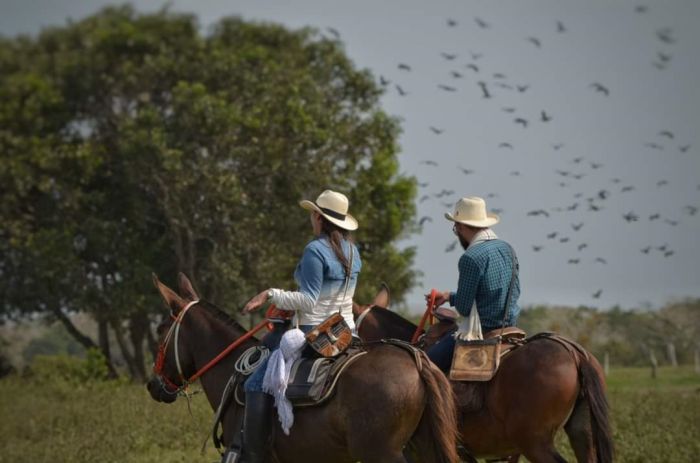 Orinoco Riding safari