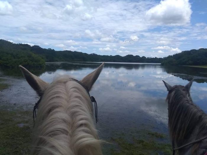Orinoco Riding safari