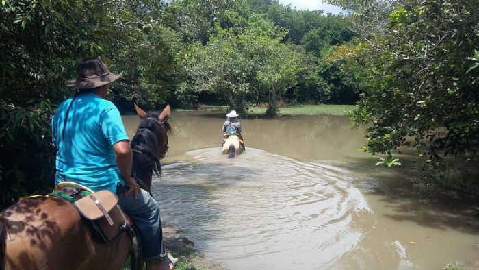 Orinoco Riding safari